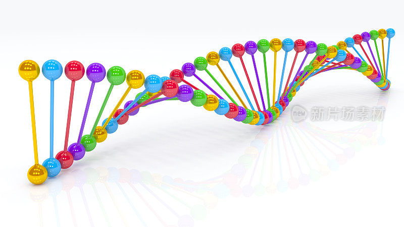 3D DNA颜色序列